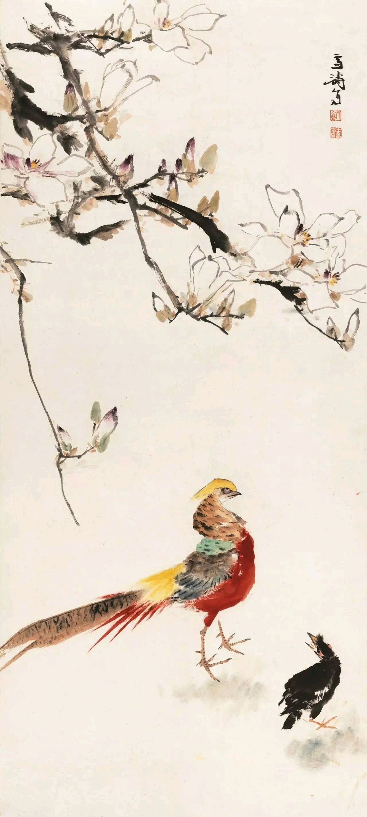 王雪涛先生画的喜鹊,蝴蝶,锦鸡