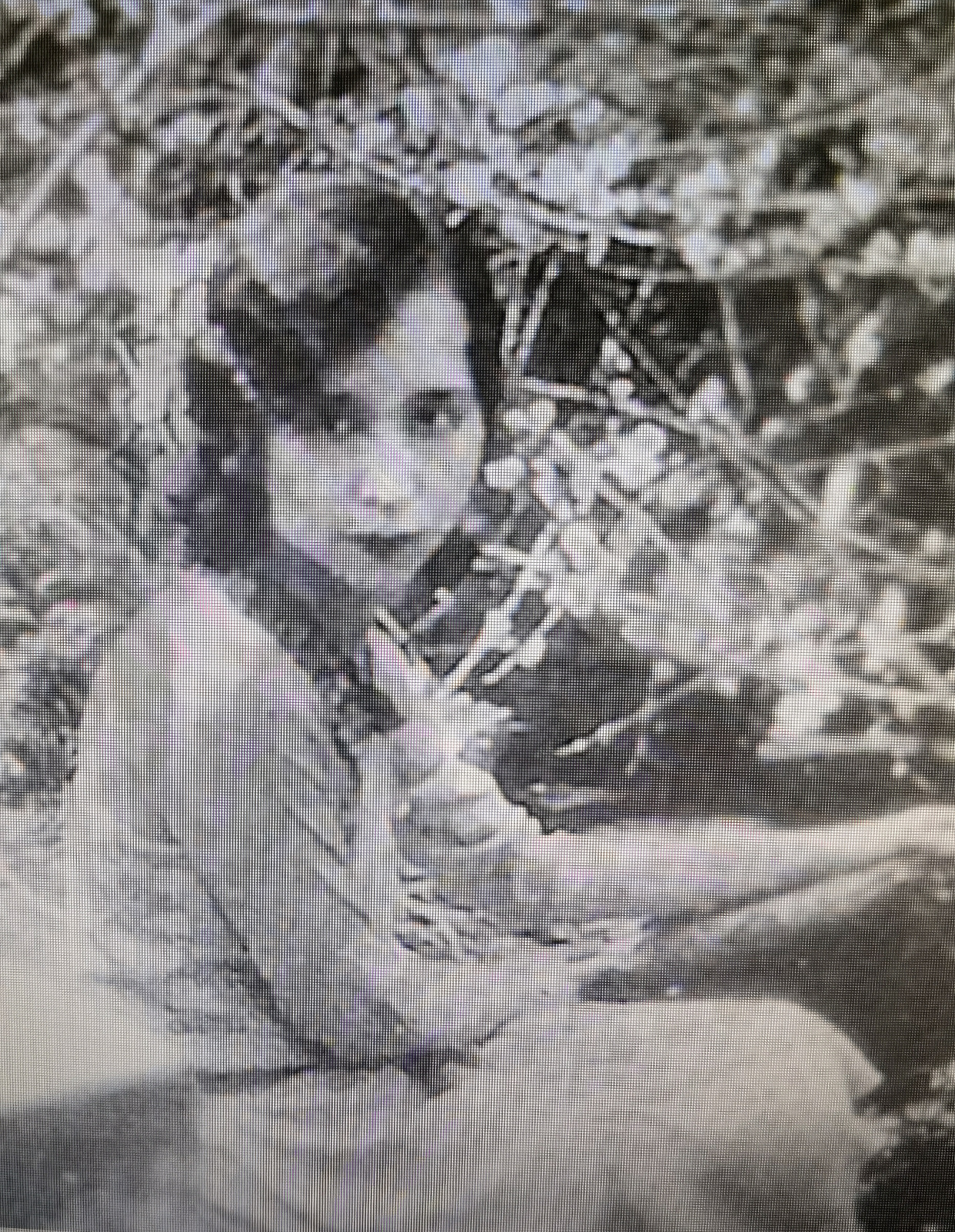 潇洒黄逸梵 繁华落尽终是空