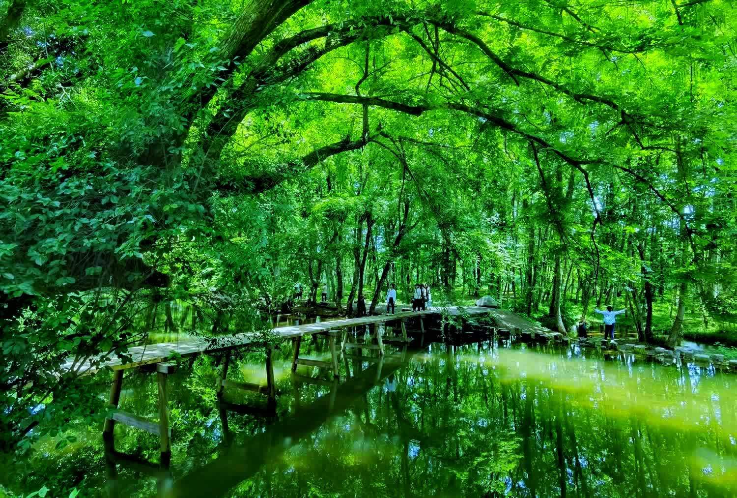 自驾游记:绿野仙踪西溪南