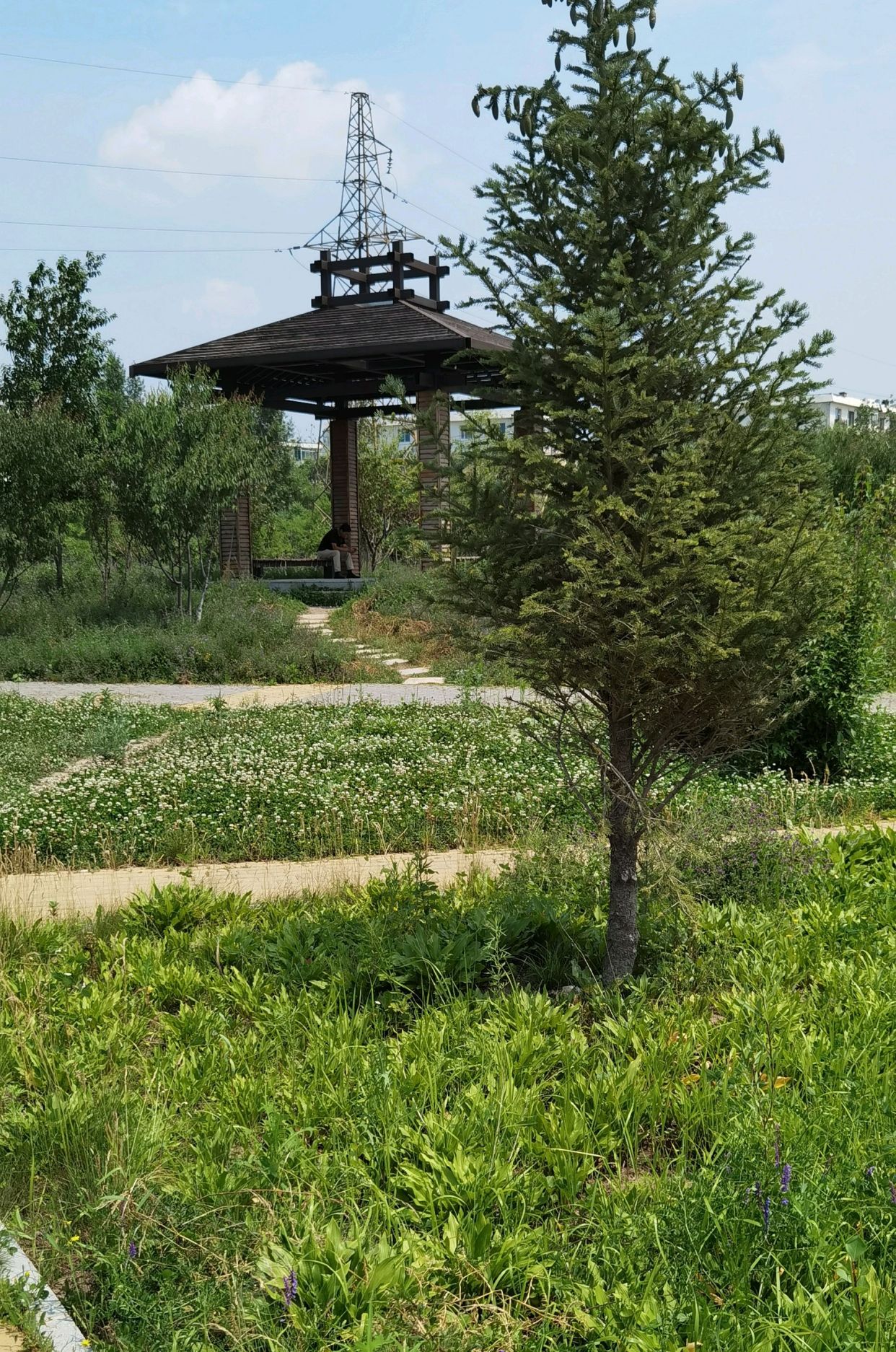 辽源市新建的公园