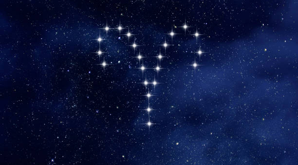 天秤座最克制哪个星座(唯一可以虐天秤座的星座)插图