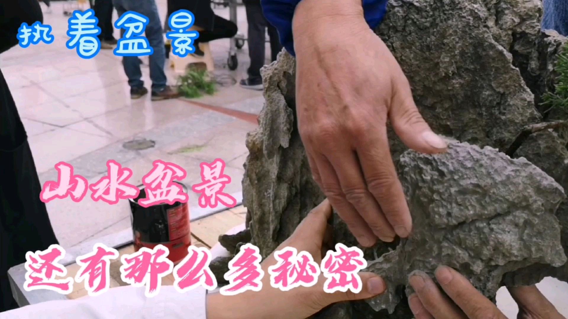 和你分享山水盆景制作的全过程,你会学到几个关键技术