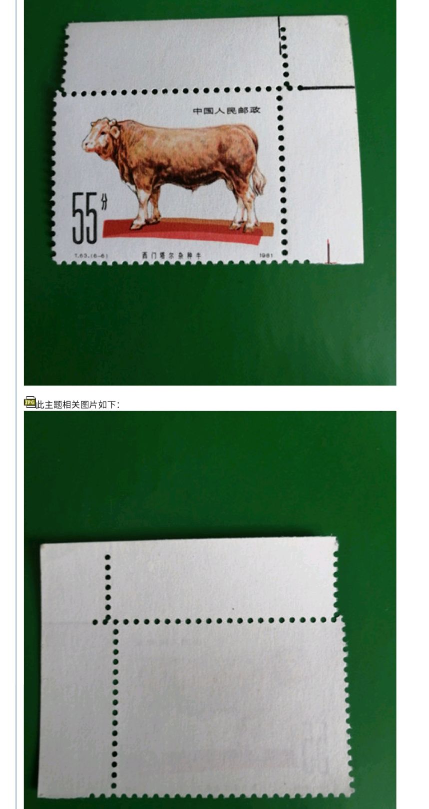 价值5000元的错版邮票你有吗?这两种错版票值得收藏