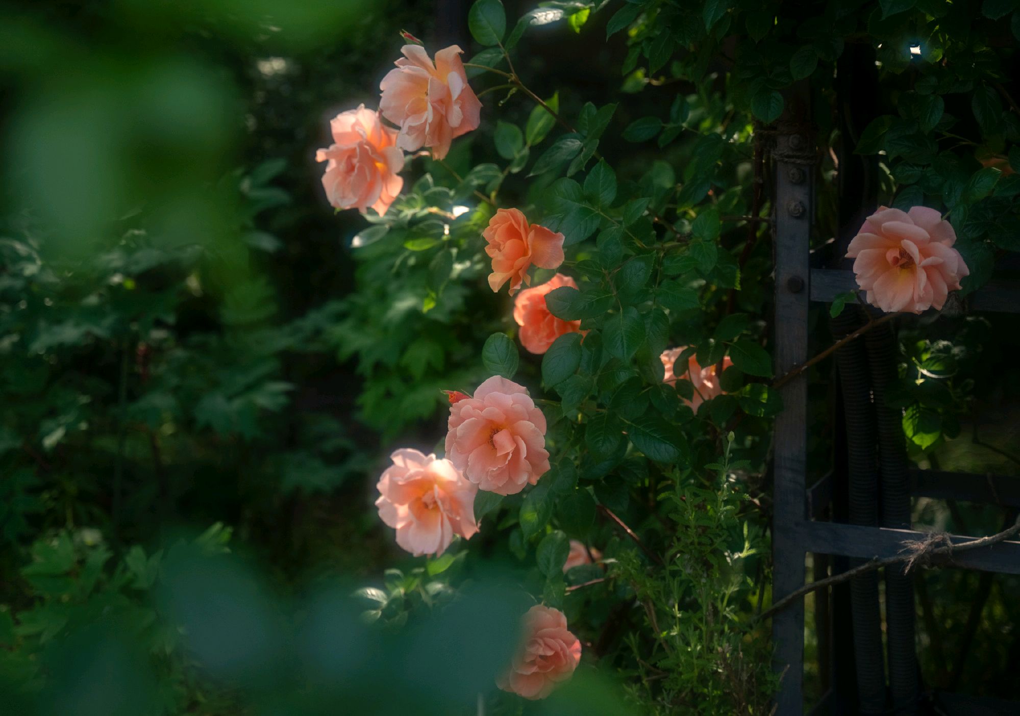 成年人最轻松的相处秘诀:不过于客气