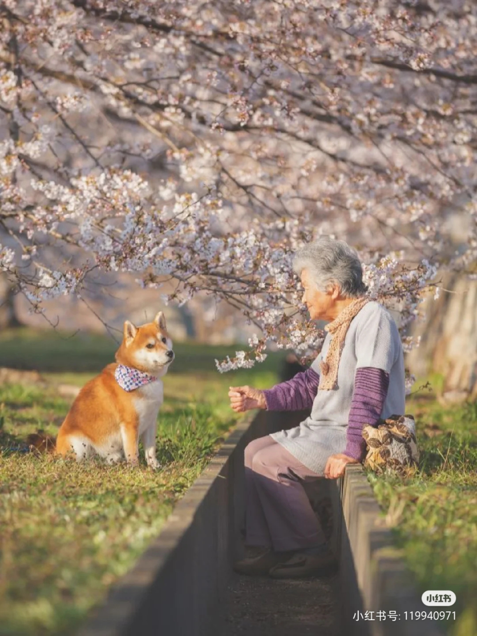 一人一狗98足矣