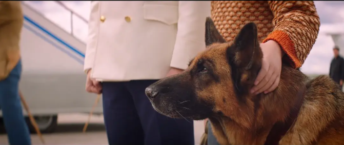 我会在原地等你,无论多久都等下去《忠犬帕尔玛》