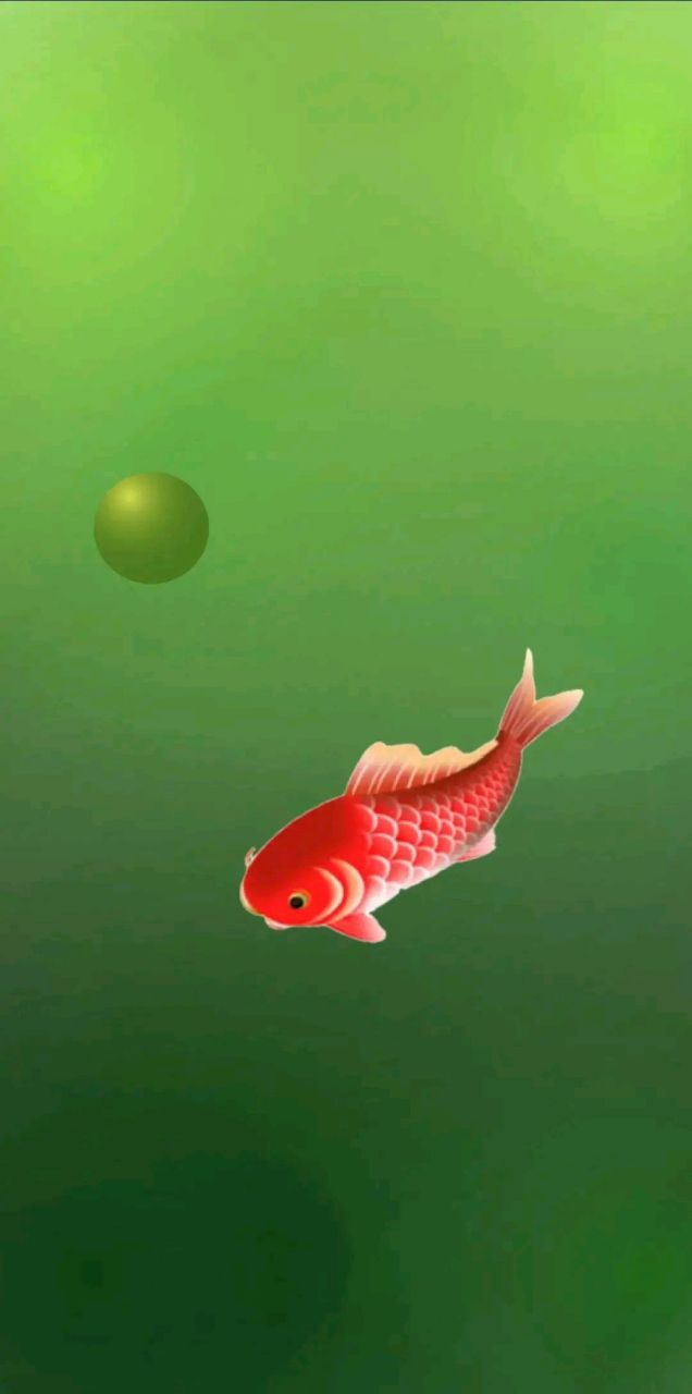 小鲤鱼壁纸,鲤鱼跃龙门,锦鲤附体  #6月打卡挑战赛
