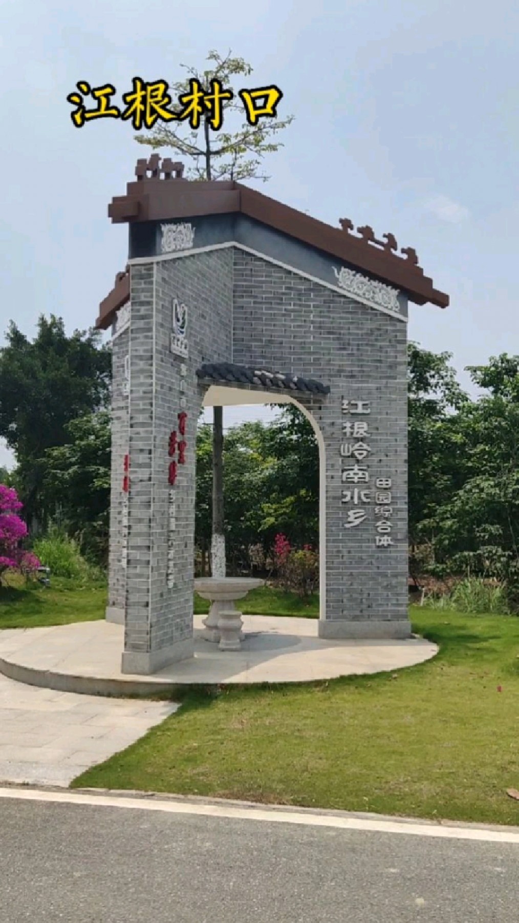 欣赏三水1000多年江根村看书舍民宿鱼塘等仙人掌紫荆花等鲜花