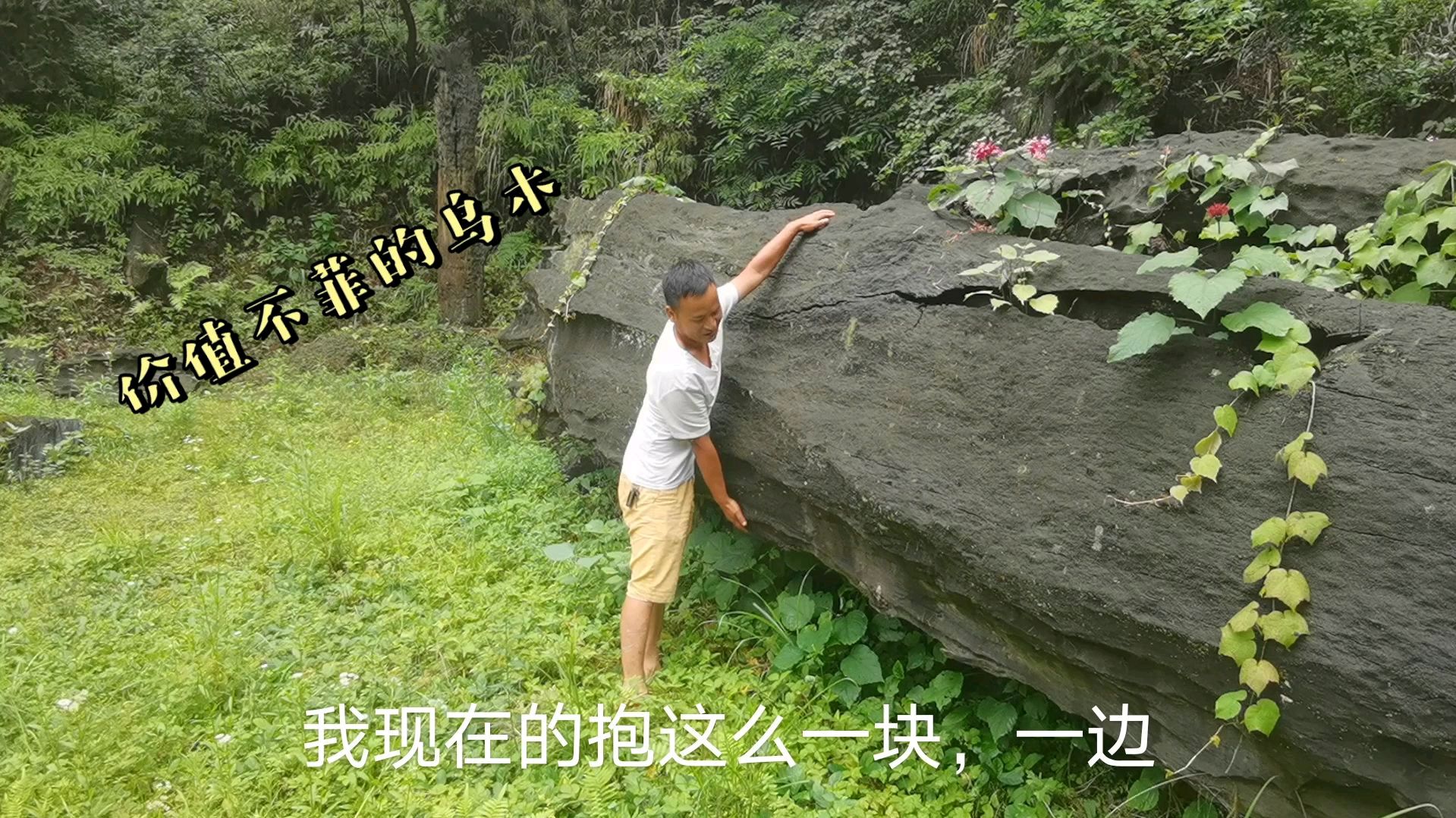 价值不菲的乌木随意的堆弃在外面,不知道有多少人拿它当宝贝