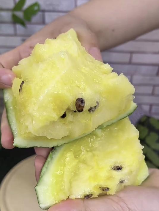 这个特小凤西瓜太好吃,皮薄脆甜无籽,抱着啃才是夏天标配