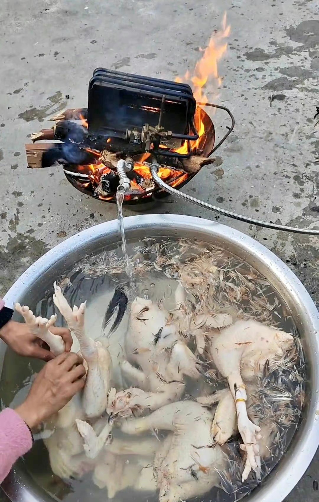 来大姐家串门她正在给鸡拔毛她家这热水器吸引了我的注意还是柴暖