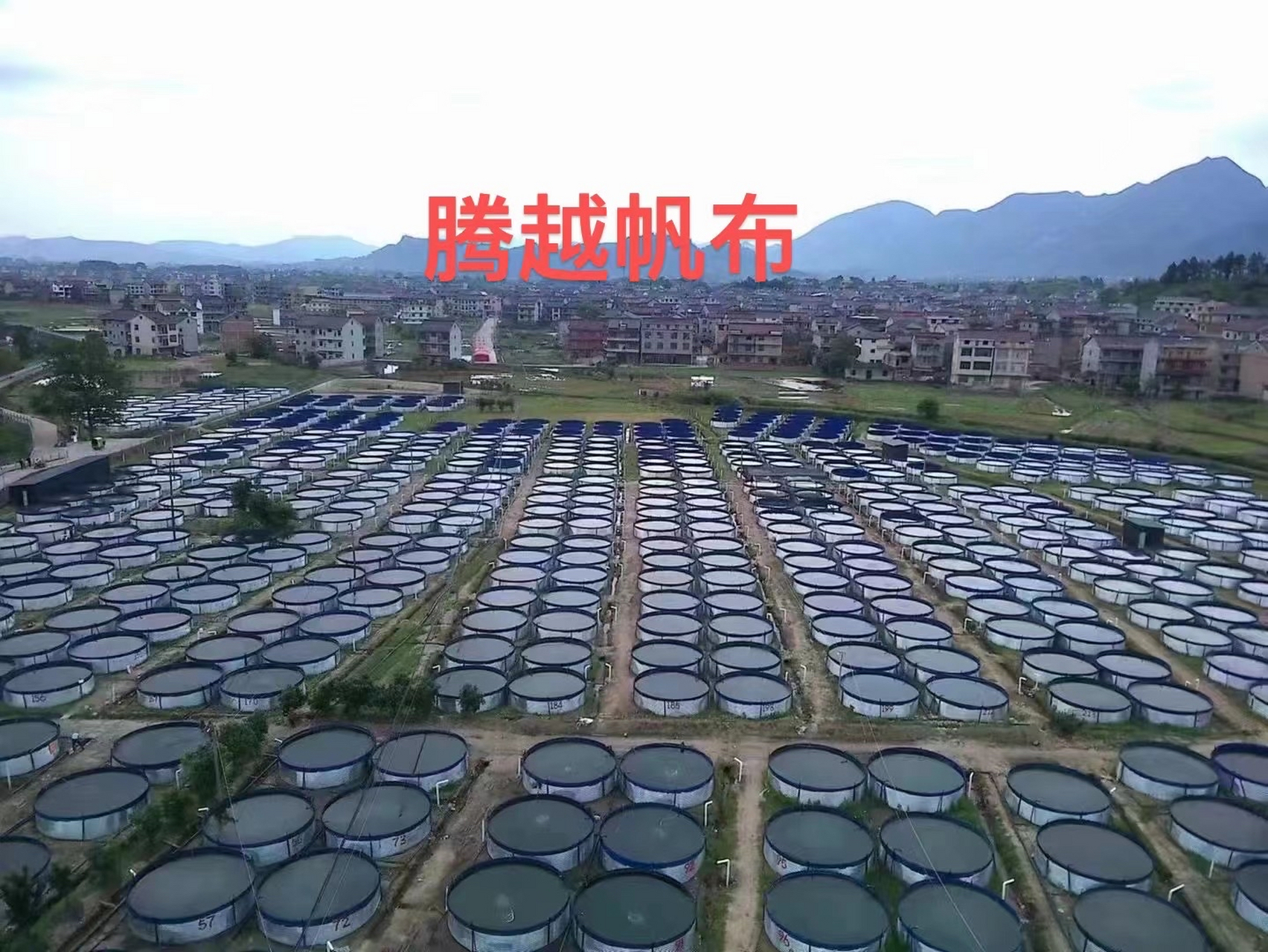 搞养鱼养殖挣钱吗(养殖鱼需要投资多少钱)