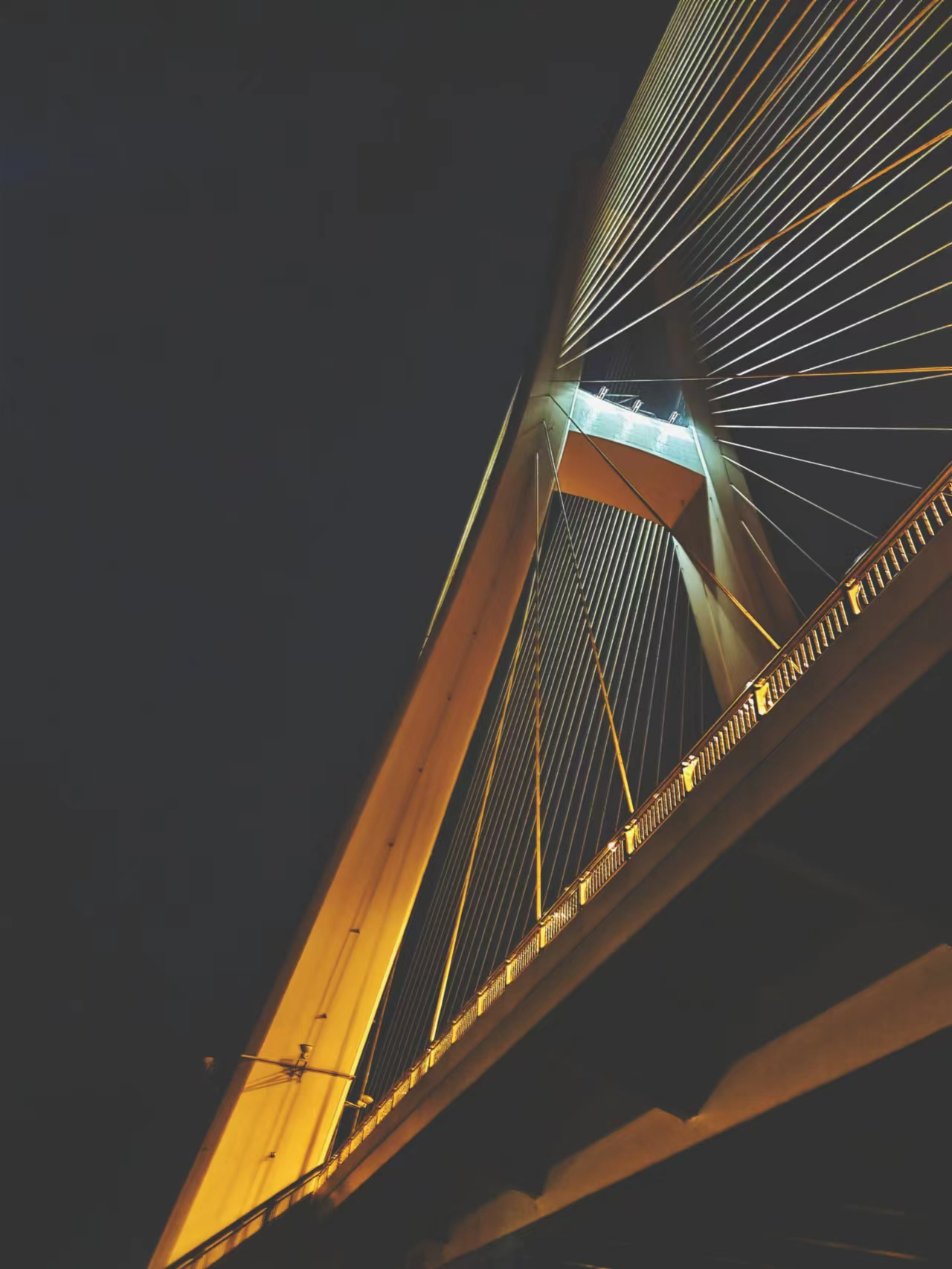 遥看巢湖金浪里,爱她姑姥发如油,开着君威游湖边