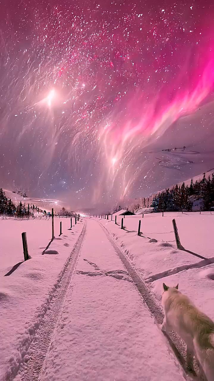 满天星辰亮开颜