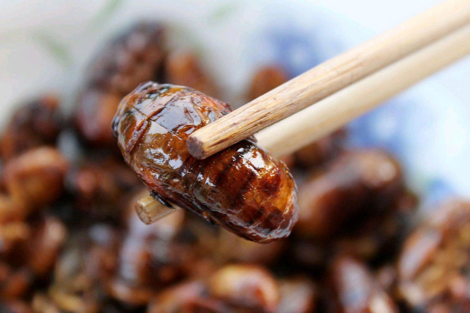 山东一面包店推出知了猴面包   油炸金蝉夹心面包,店长很有创意,满足