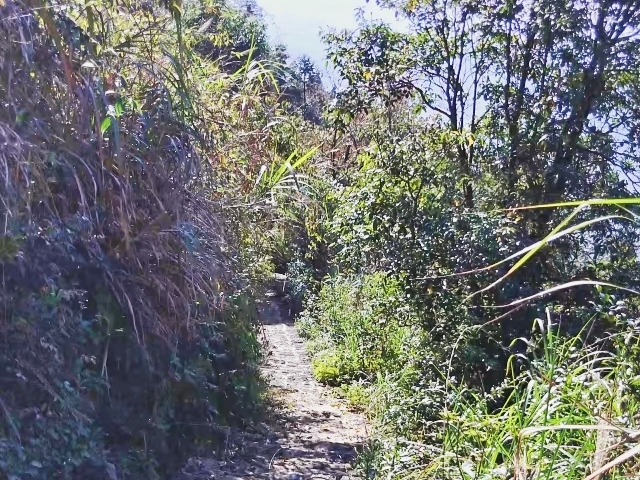 遊閩清白巖山