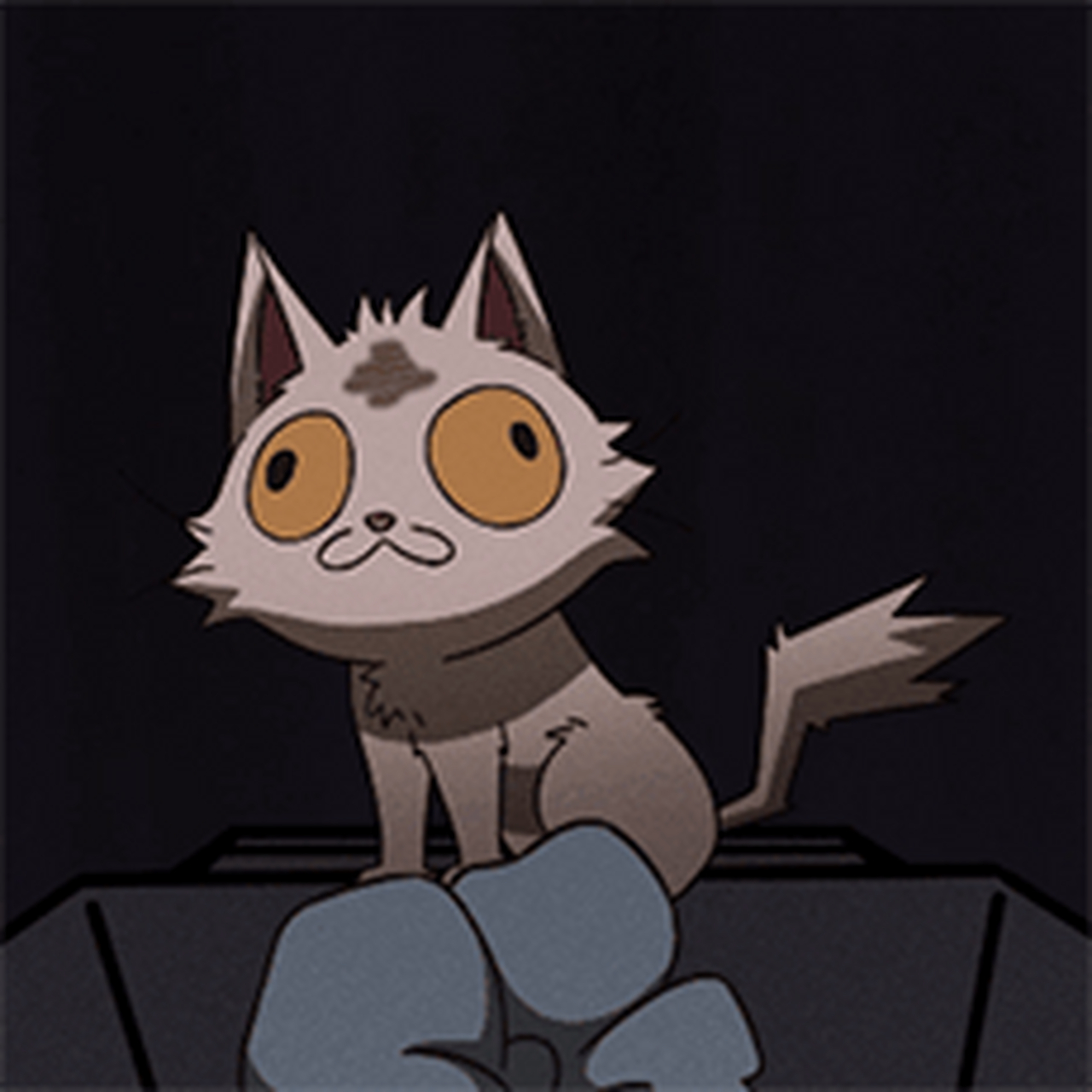 一套猫爷表情包谁不爱[期待][期待][期待][期待]来自大理寺日志官博君