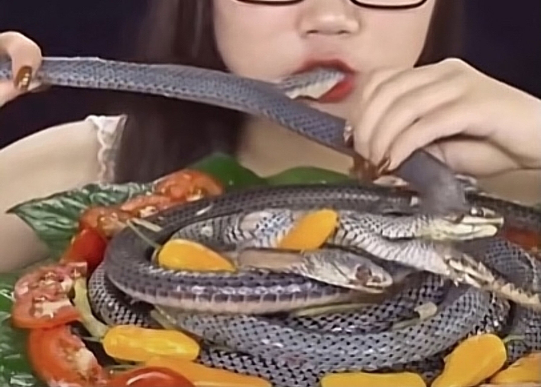 这么吃蛇,真是牛逼.
