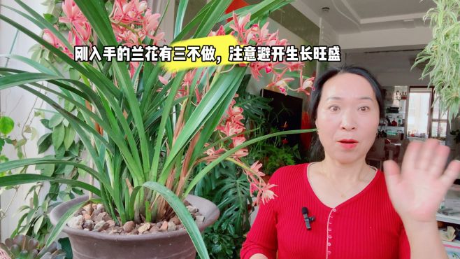 剛入手的蘭花有三不做，注意避開生長旺盛！