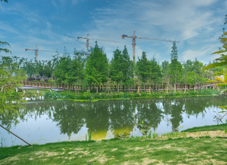 泗洪新城中央公园丨吾悦让你的舒适生活一步到位