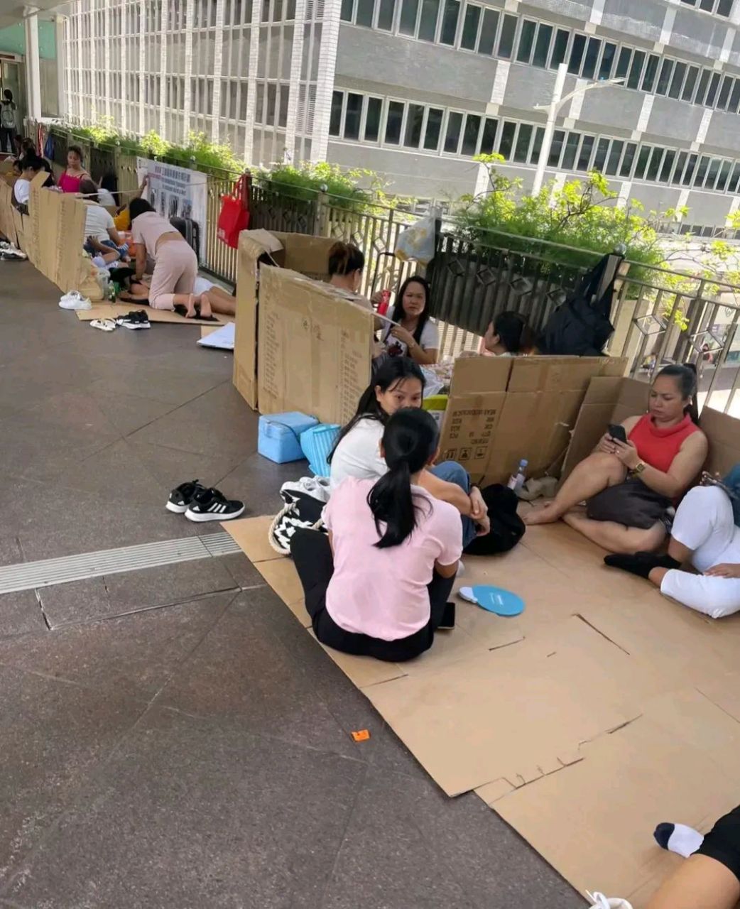 这是香港周日的菲佣聚会,香港40w菲佣平时都住在雇主家的衣柜里,看