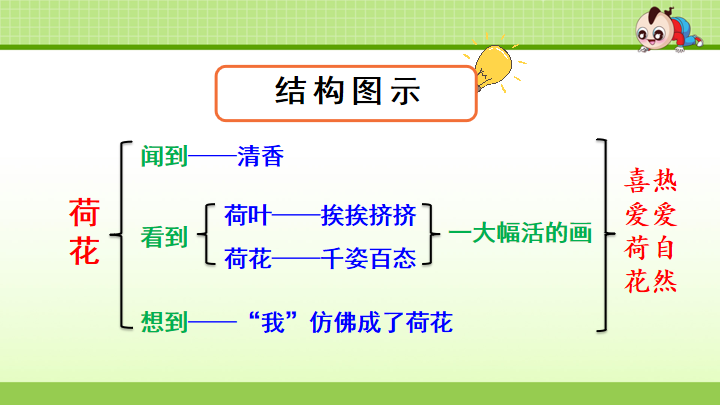 三年级下册《荷花》课文解析