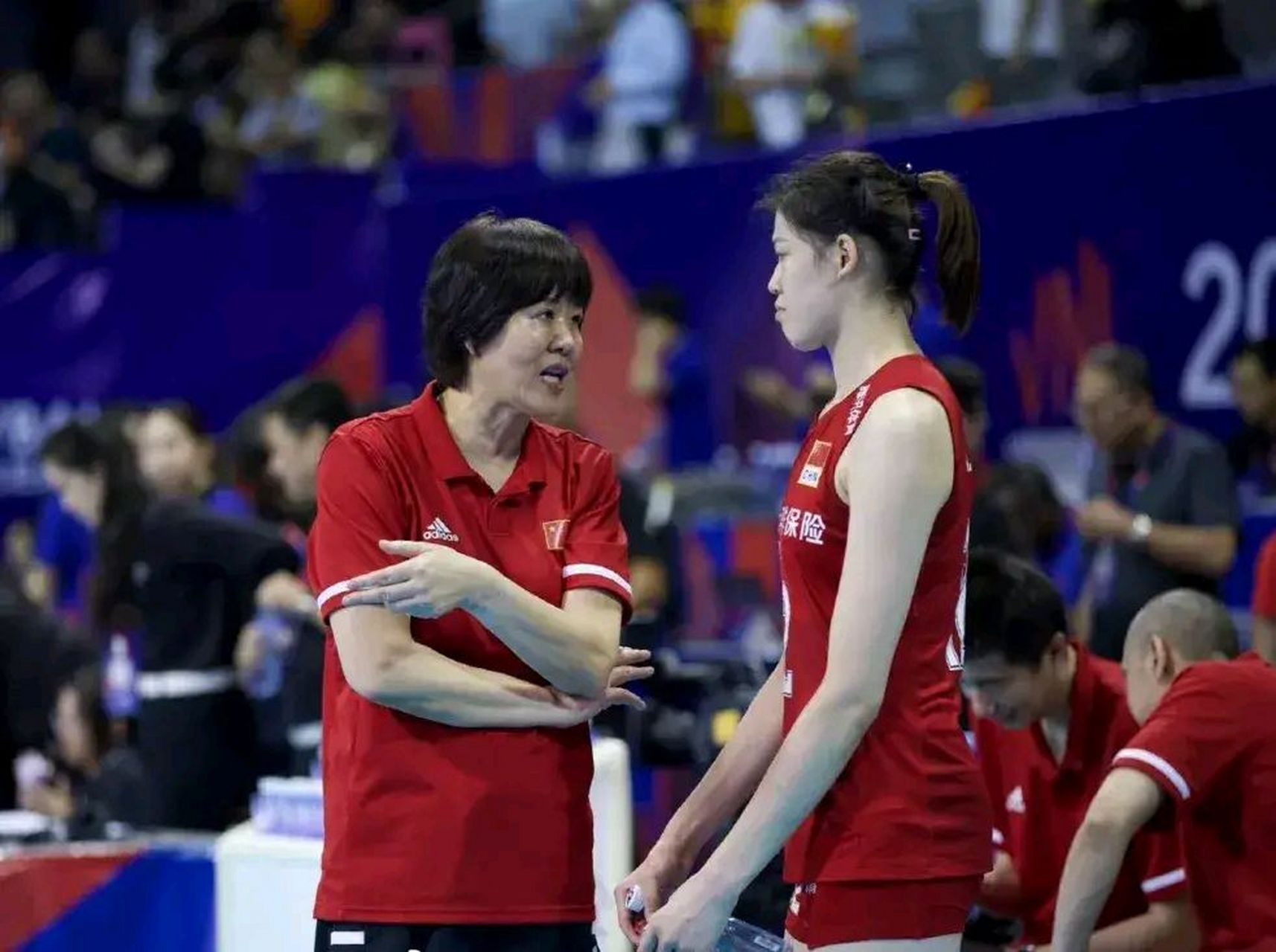 女排巴黎奥运标准阵容       领队  李珊       主教练  郎平(王宝泉)