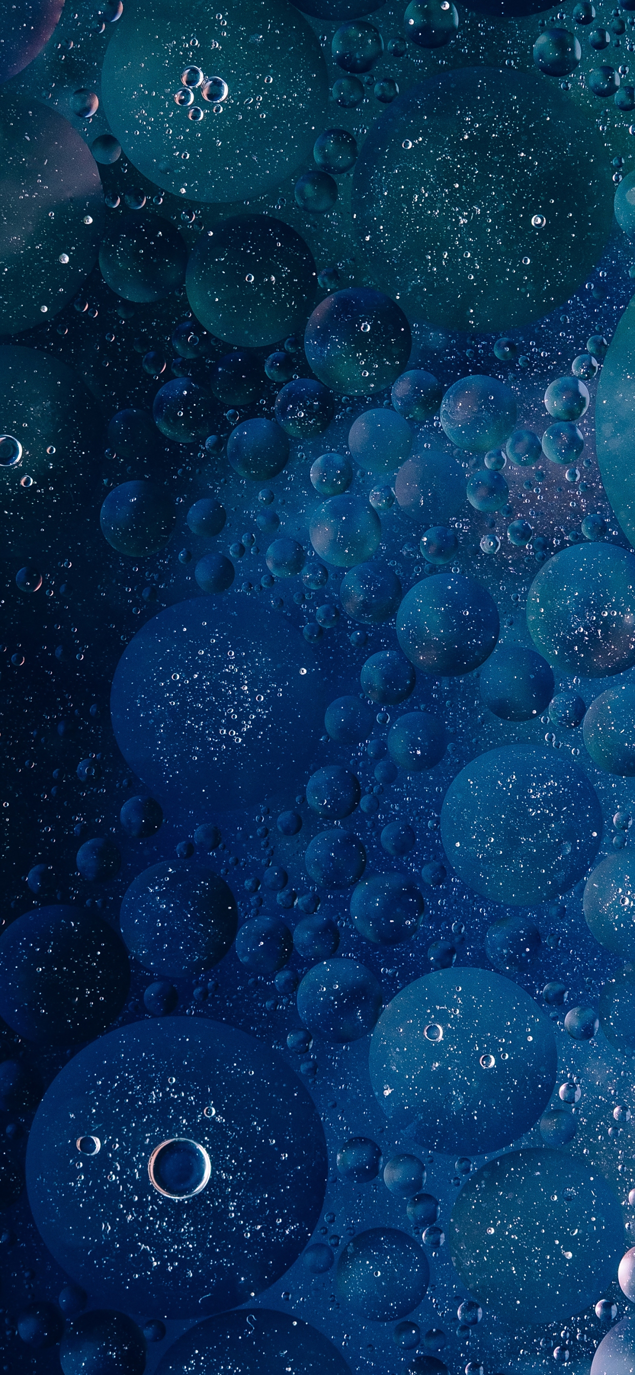 手机全面屏2k高清壁纸