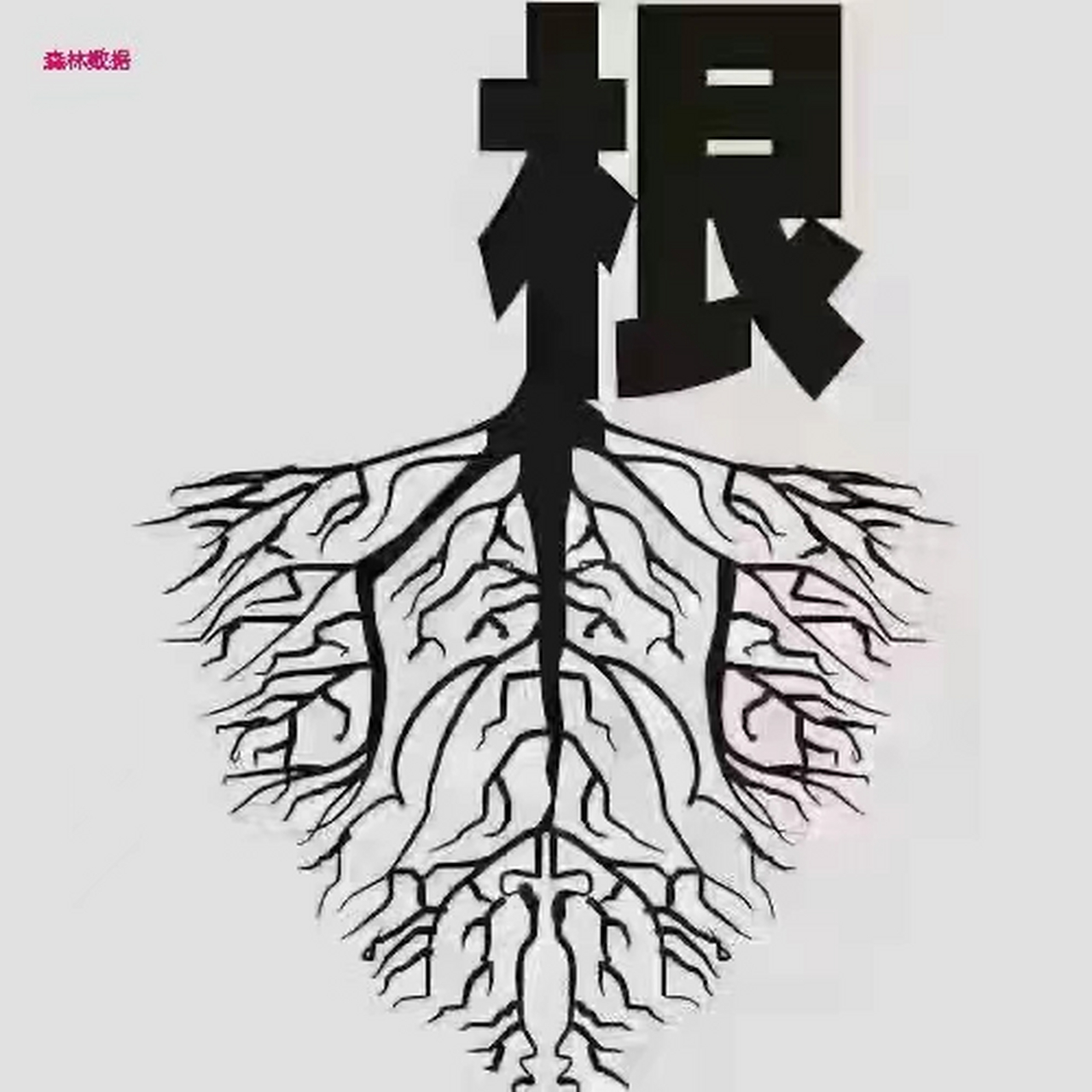 读万卷书不如行万里路  行万里路不如阅人无数  董宇辉说:  如果没有