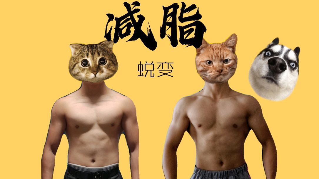 三分钟瘦肚子?快来学学科学减脂