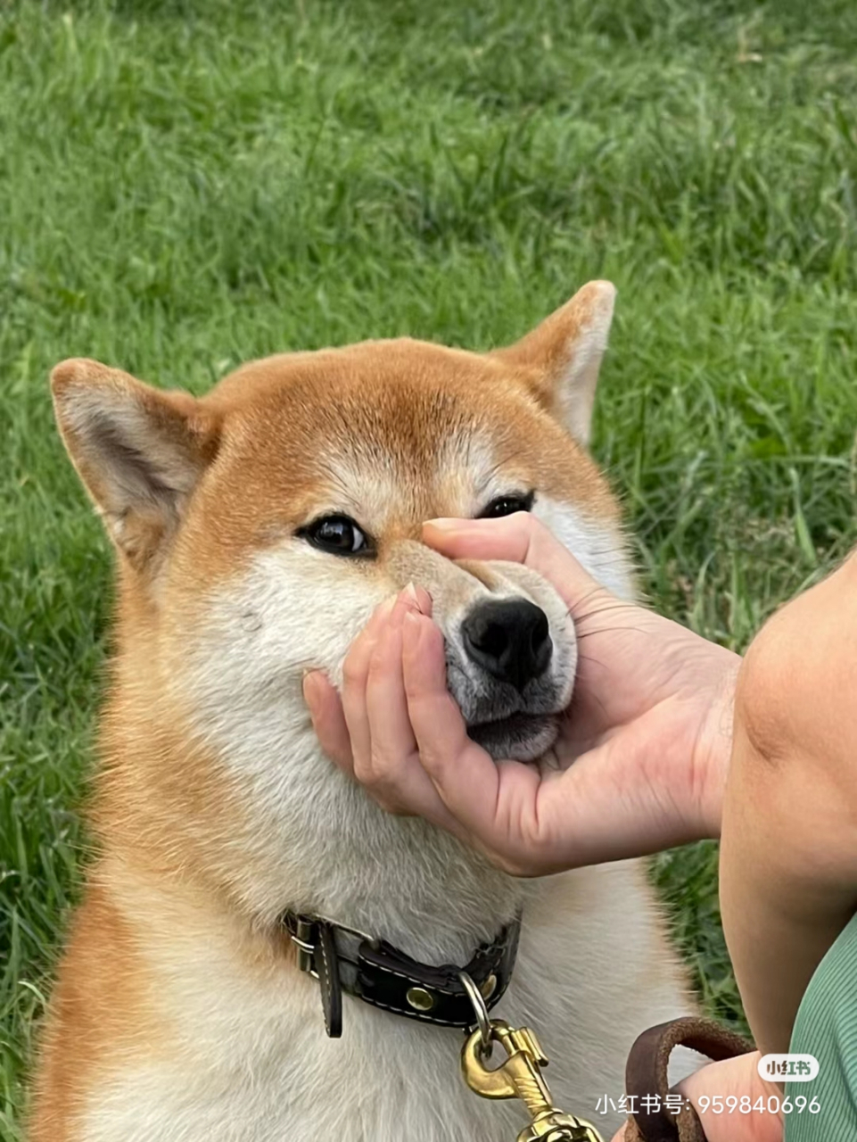 明天会不会好我不知道,但最近是真苦,苦的我都麻