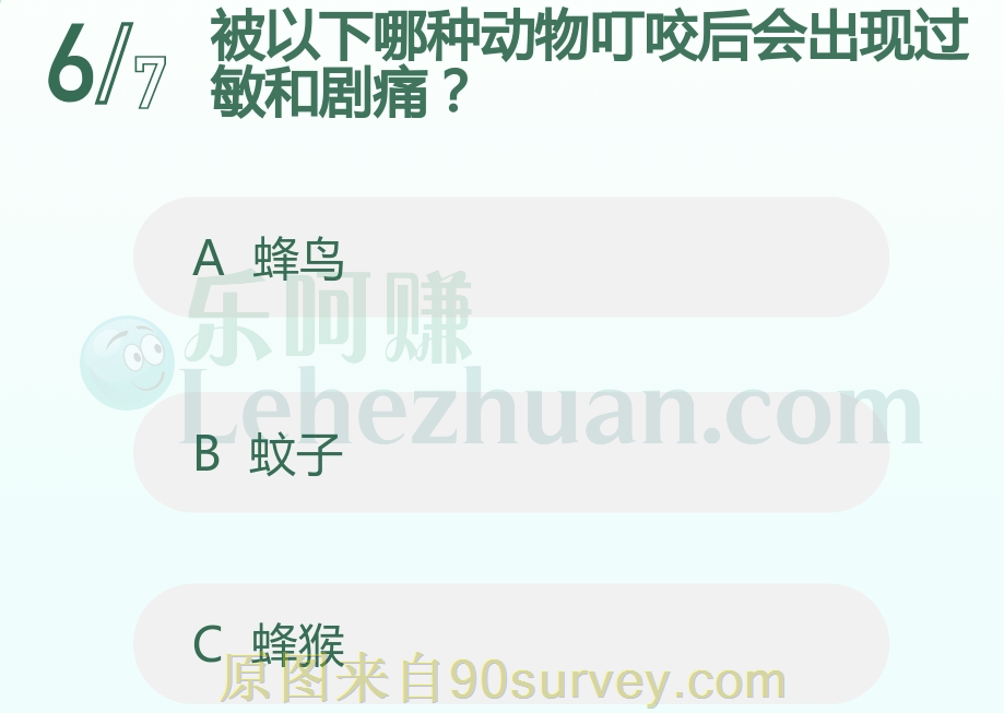 被蜂猴叮咬后会出现过敏和剧痛 被蜂猴叮咬后会出现过敏和剧痛