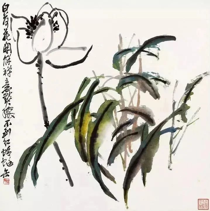 简约清雅,率性而为,吴昌硕一组小品花鸟画