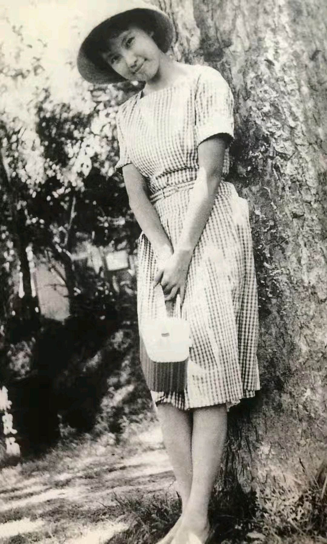 荷西遇难,三毛欲结束生命,她的父亲说如果她自杀,将永远恨她