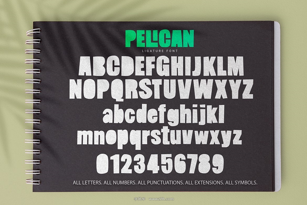 Pelican Font-4.jpg