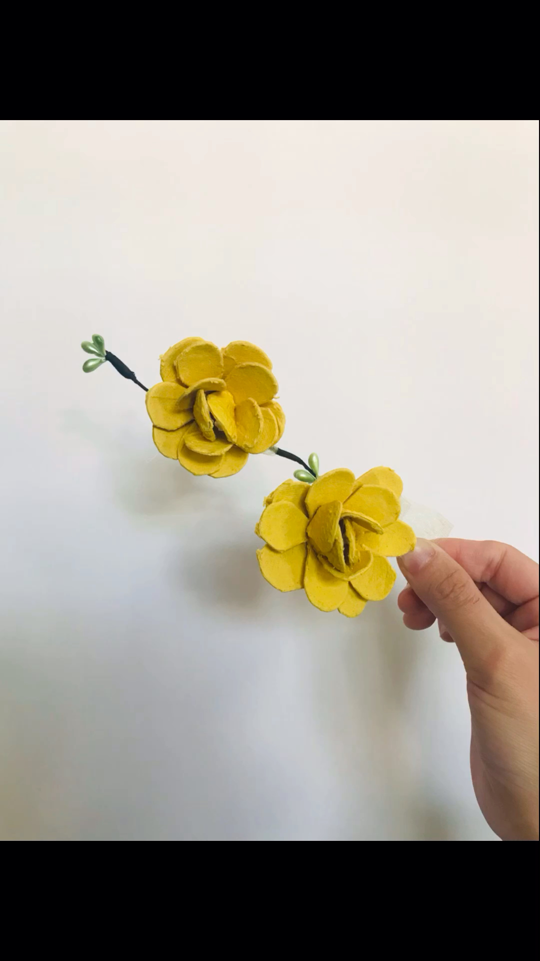 蛋托手工diy,废物利用,用蛋托做花-度小视