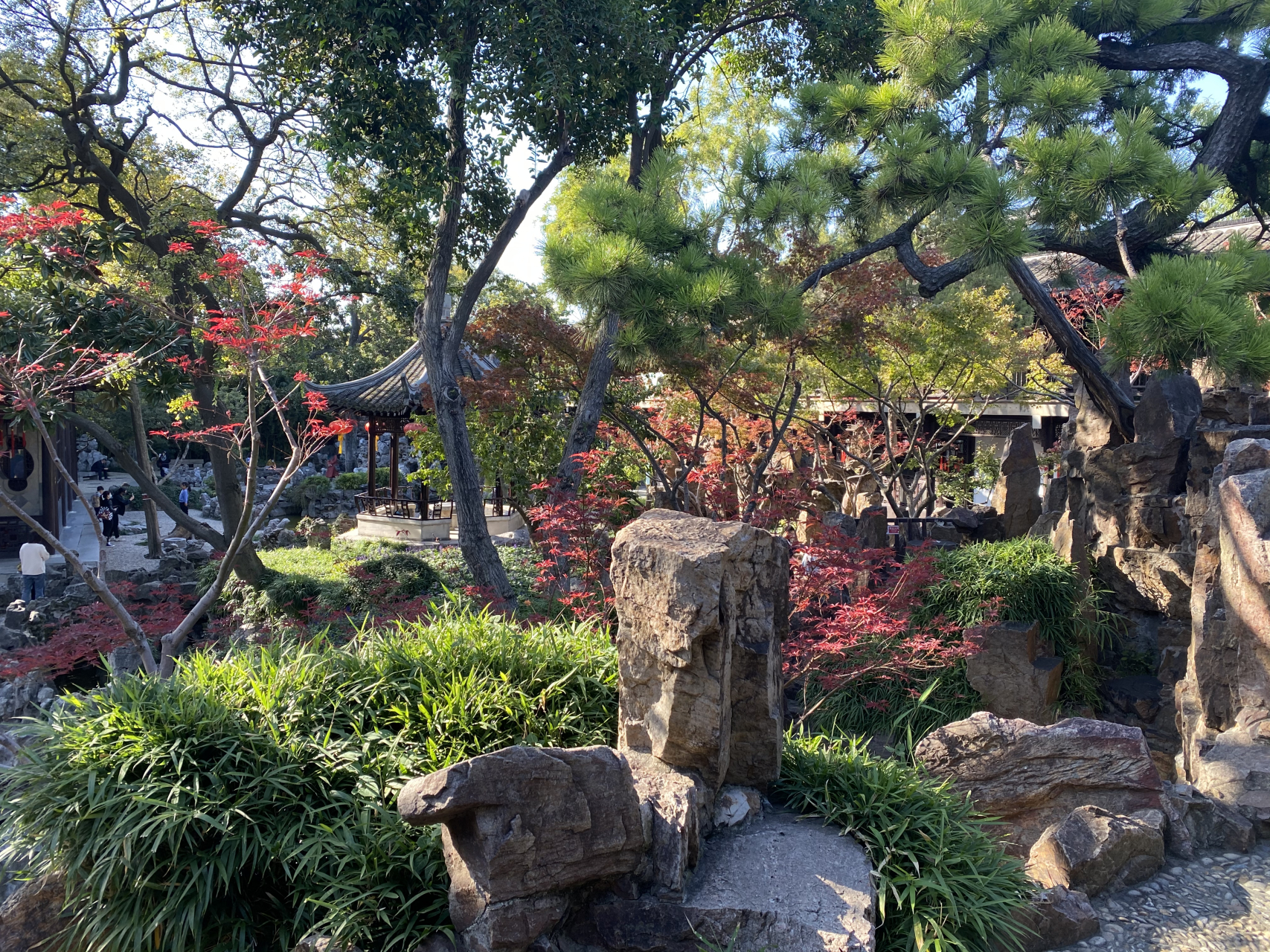 扬州个园的秋景美不胜收.黄石的粗旷,枫叶的雅致,相映成趣.