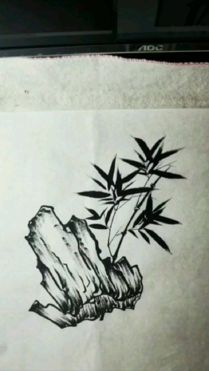 竹子生长在石头中的画图片