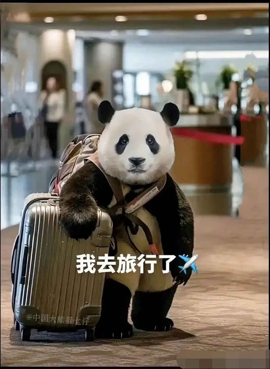 背起行囊,拖着行李箱  没有愉悦的表情,满脸写着"不舍"  快到站趟了