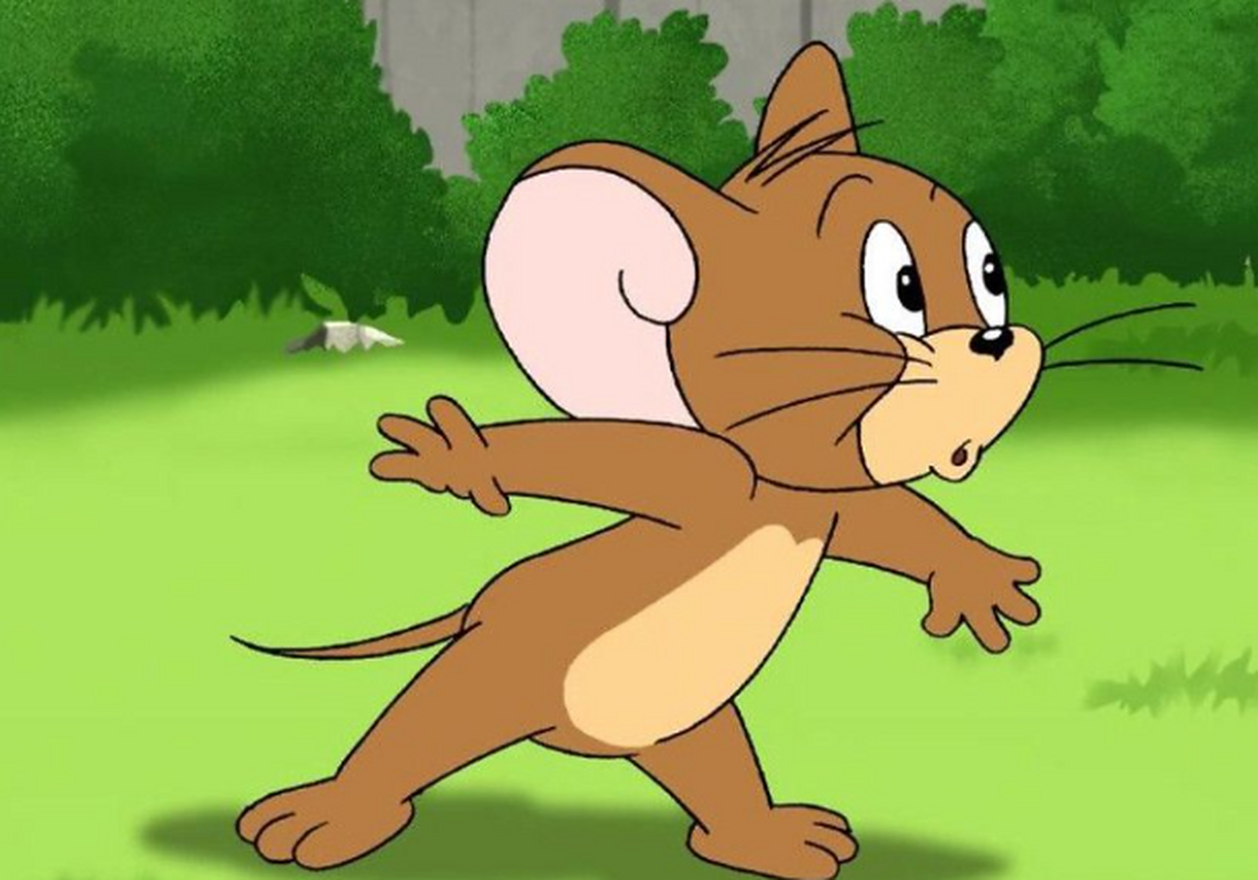 选择恐惧症就让小杰瑞选择吧