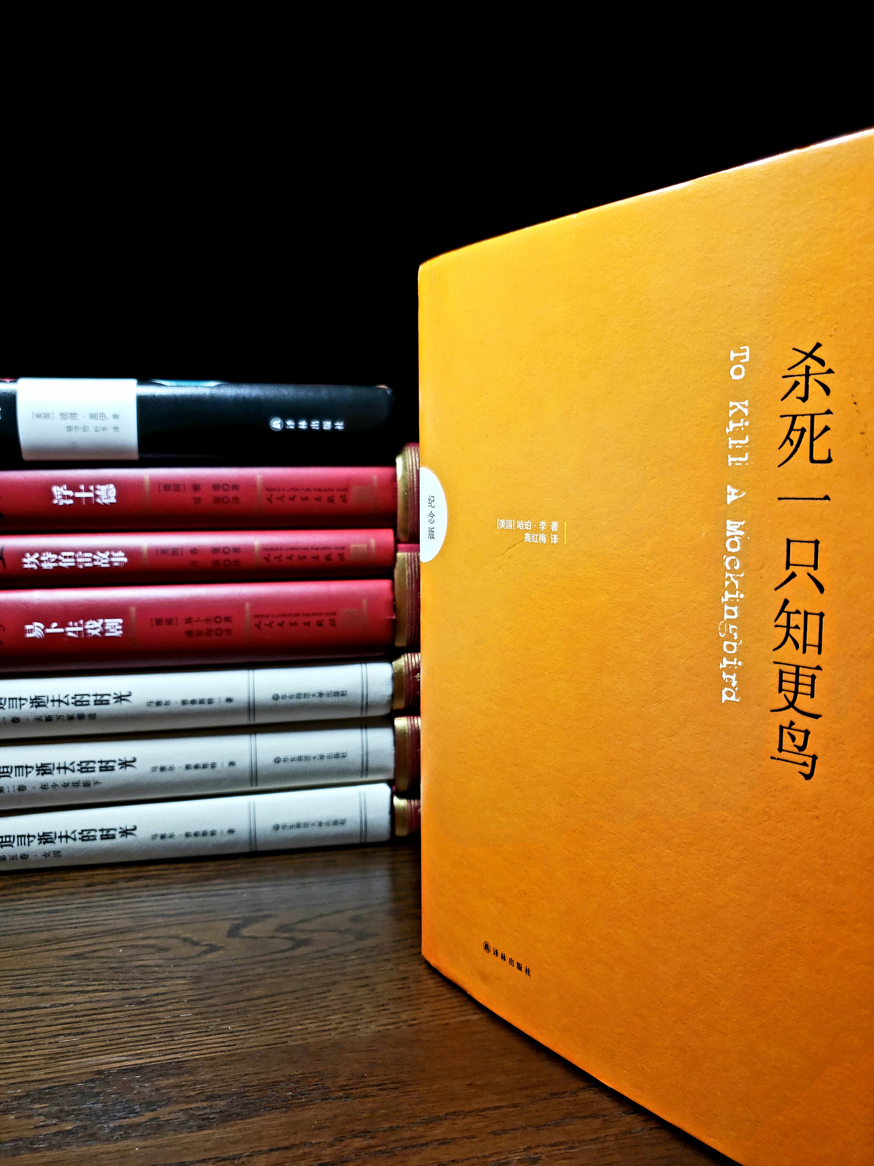 杀死一只知更鸟‖正义,教育,父爱之光