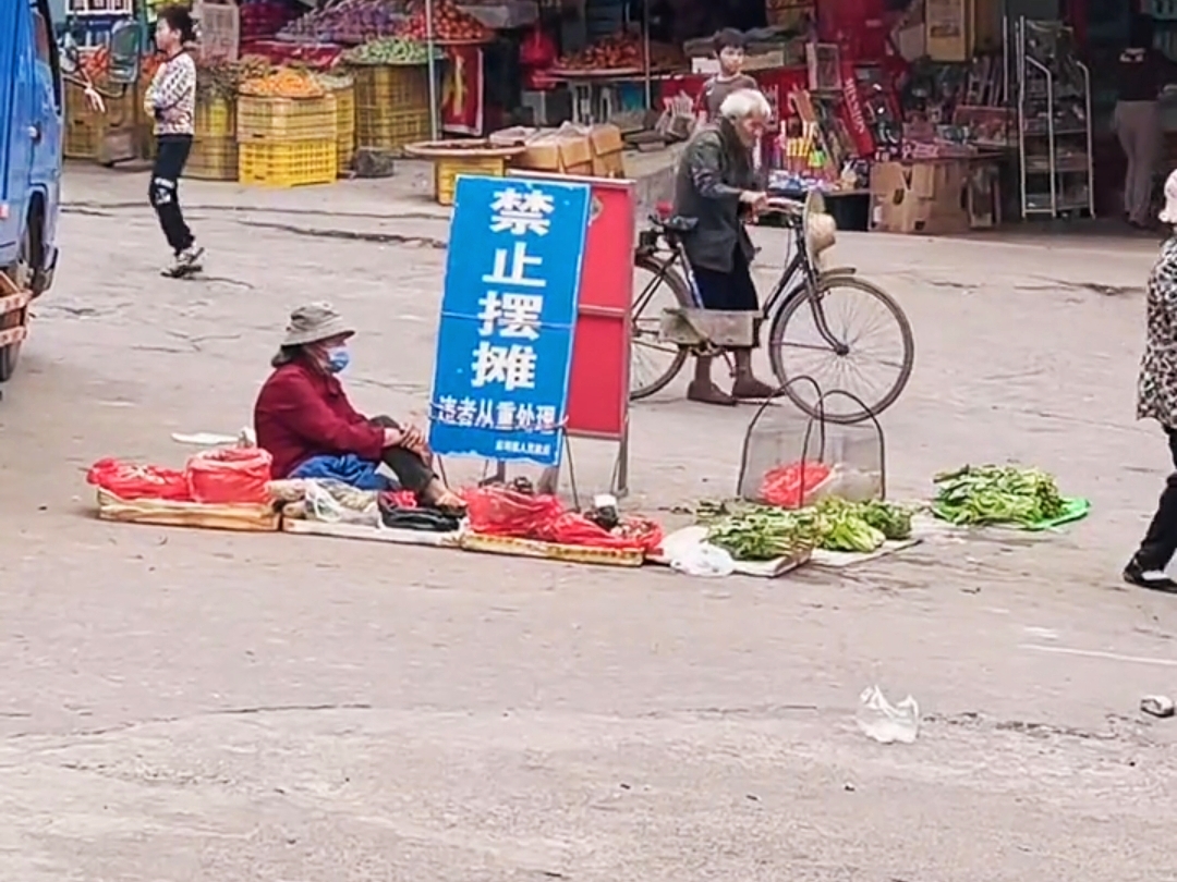 顶风作案小鸟表情包图片