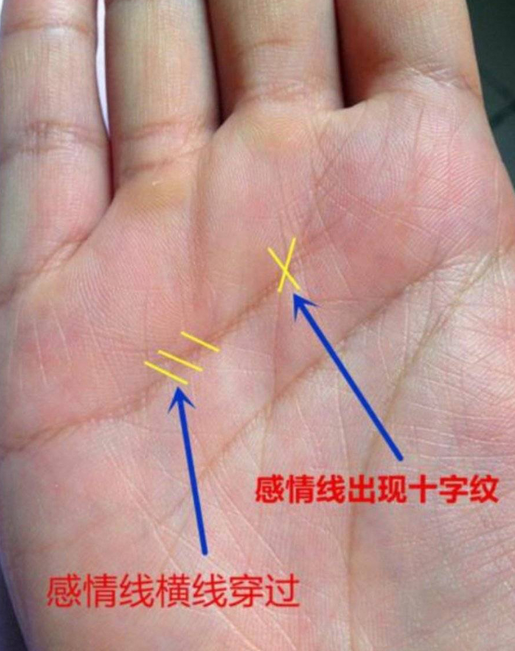 脸上有桃花眼,手掌上也有桃花纹.