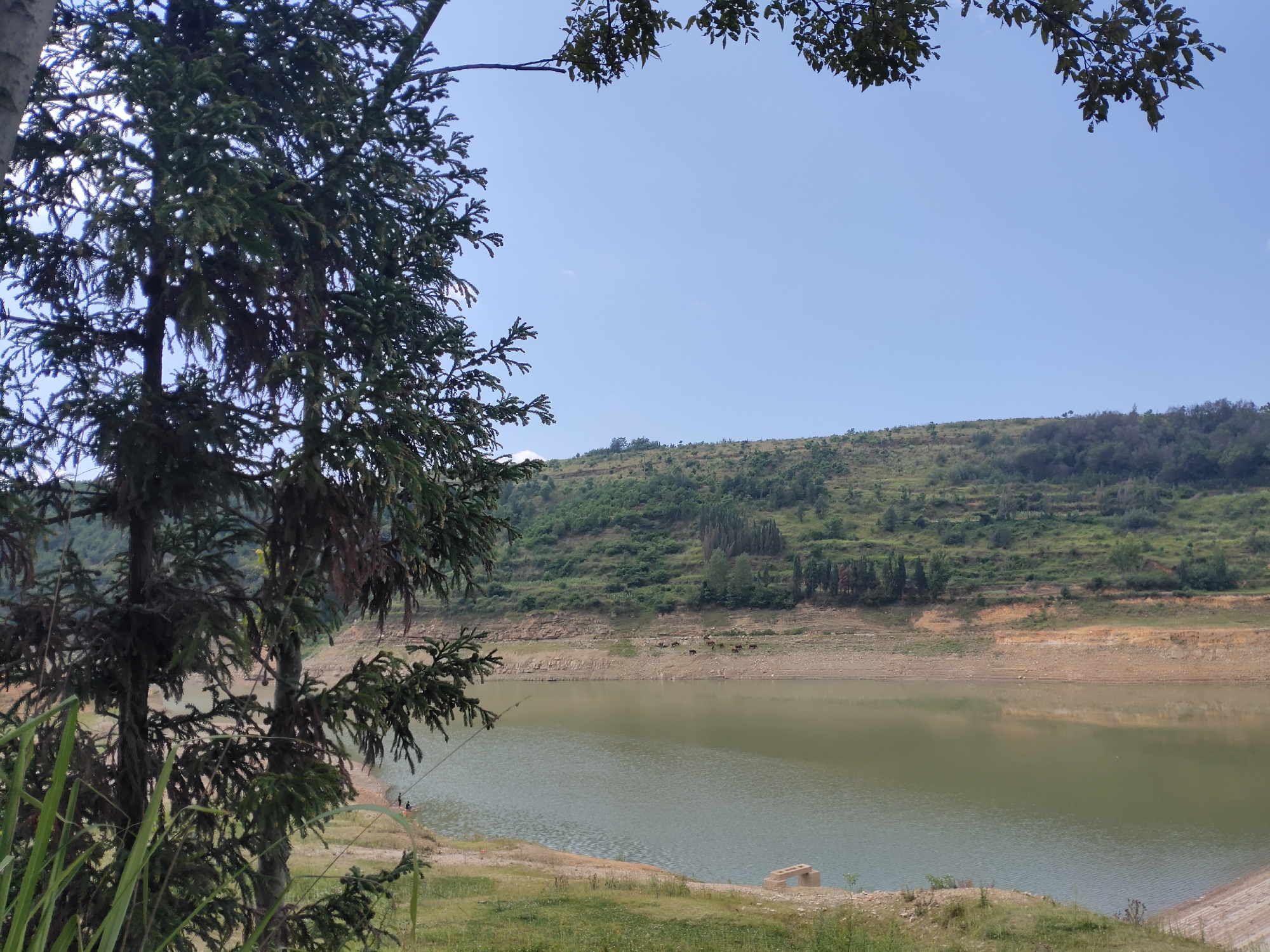 曲靖西山水库干旱严重,看看这些图片就知道了