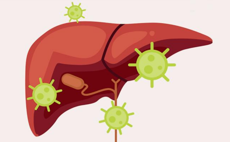 这四个毛病不改,乙肝好不了