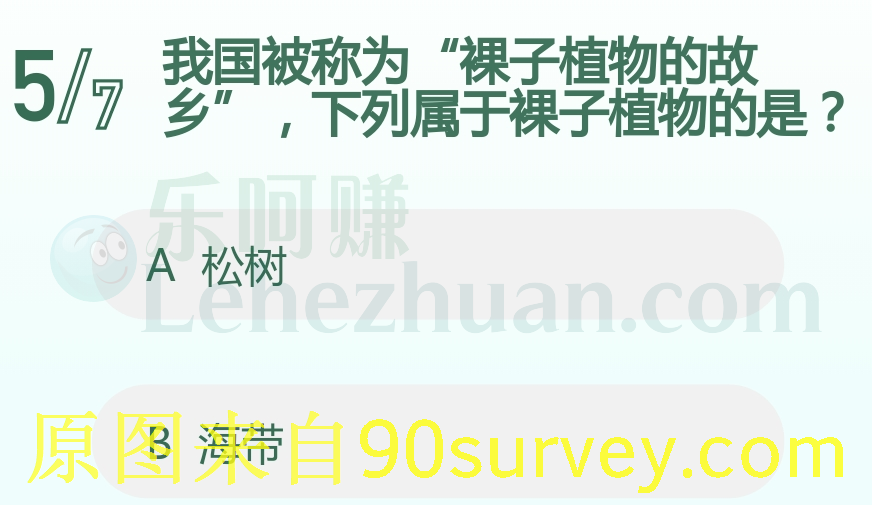 我国被称为裸子植物的故乡 我国被称为裸子植物的故乡