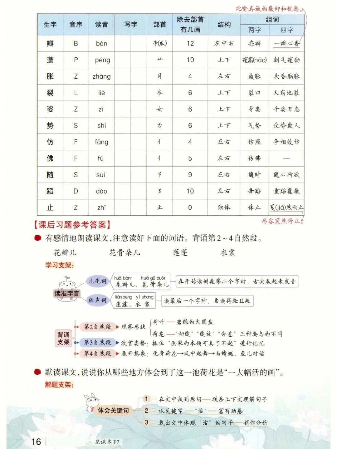 三年级语文下册第三课《荷花》课堂笔记