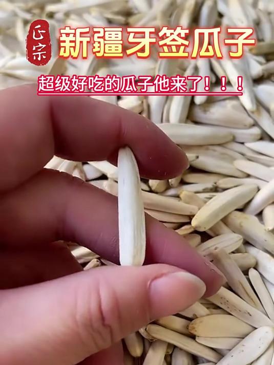 阿克苏马牙瓜子简介图片