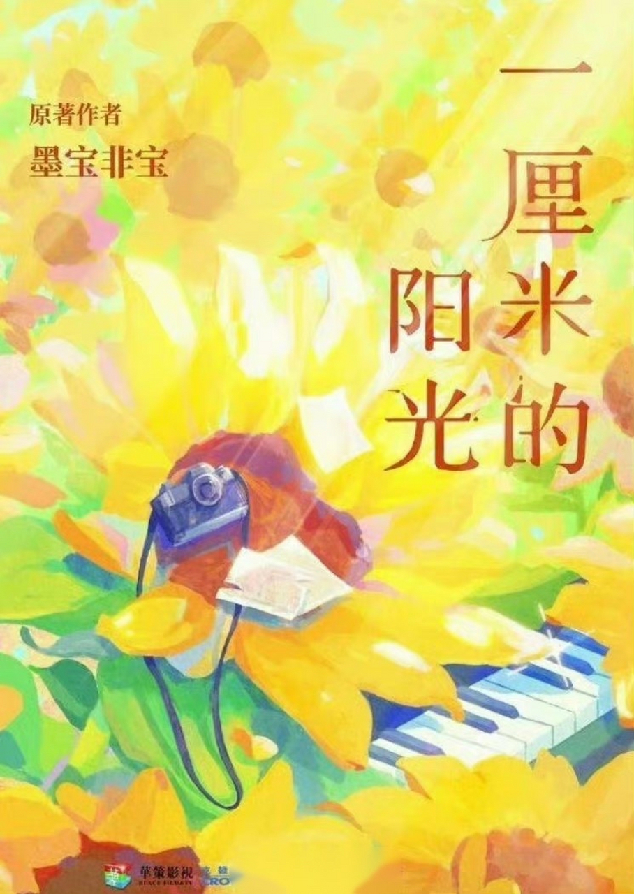 91 网传 《一厘米的阳光》即将影视化,主演暂定成毅,虞书欣,大家