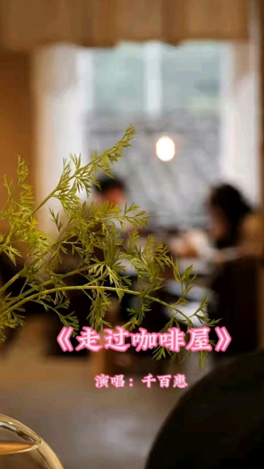 《走过咖啡屋》经典歌曲欣赏